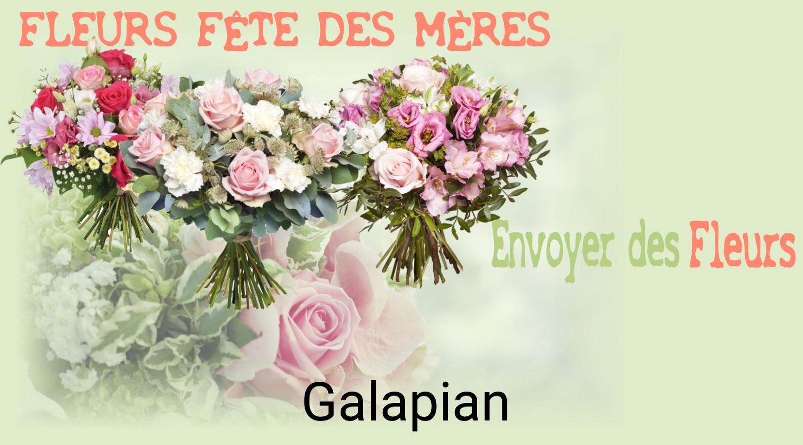 Bouquet de Fête des Mères livré à Galapian